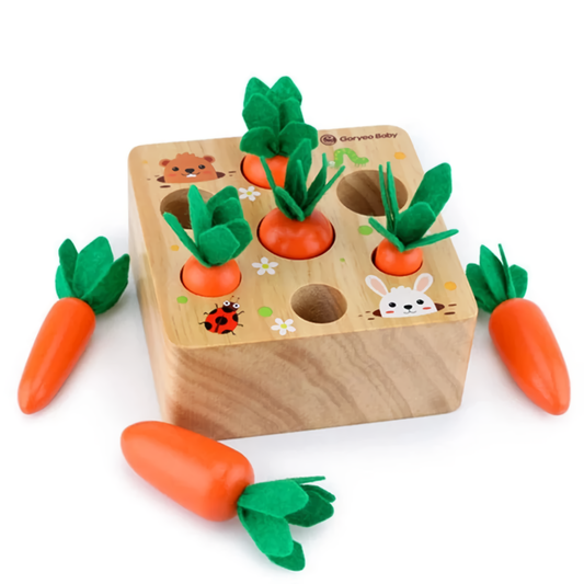 Wooden radish toy