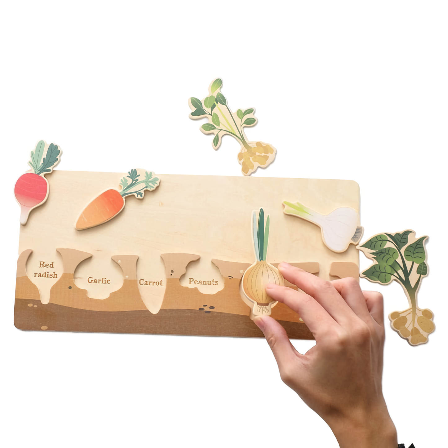 Wooden vegetables puzzle